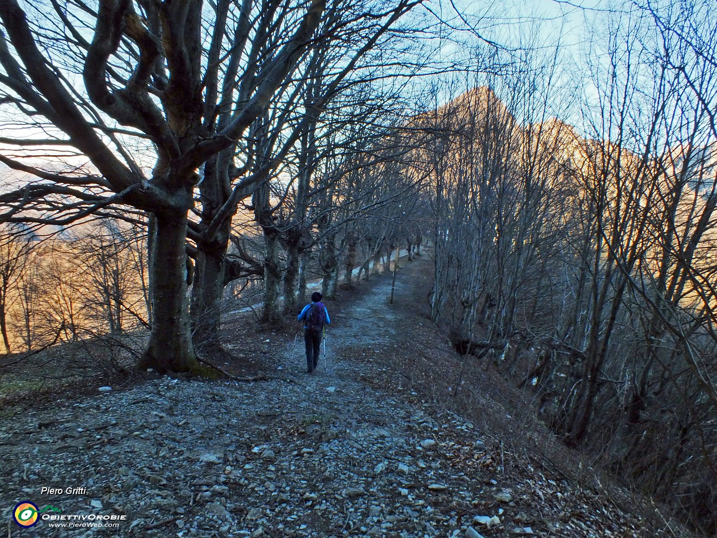 20 Nella splendida faggeta...verso il convento.JPG
